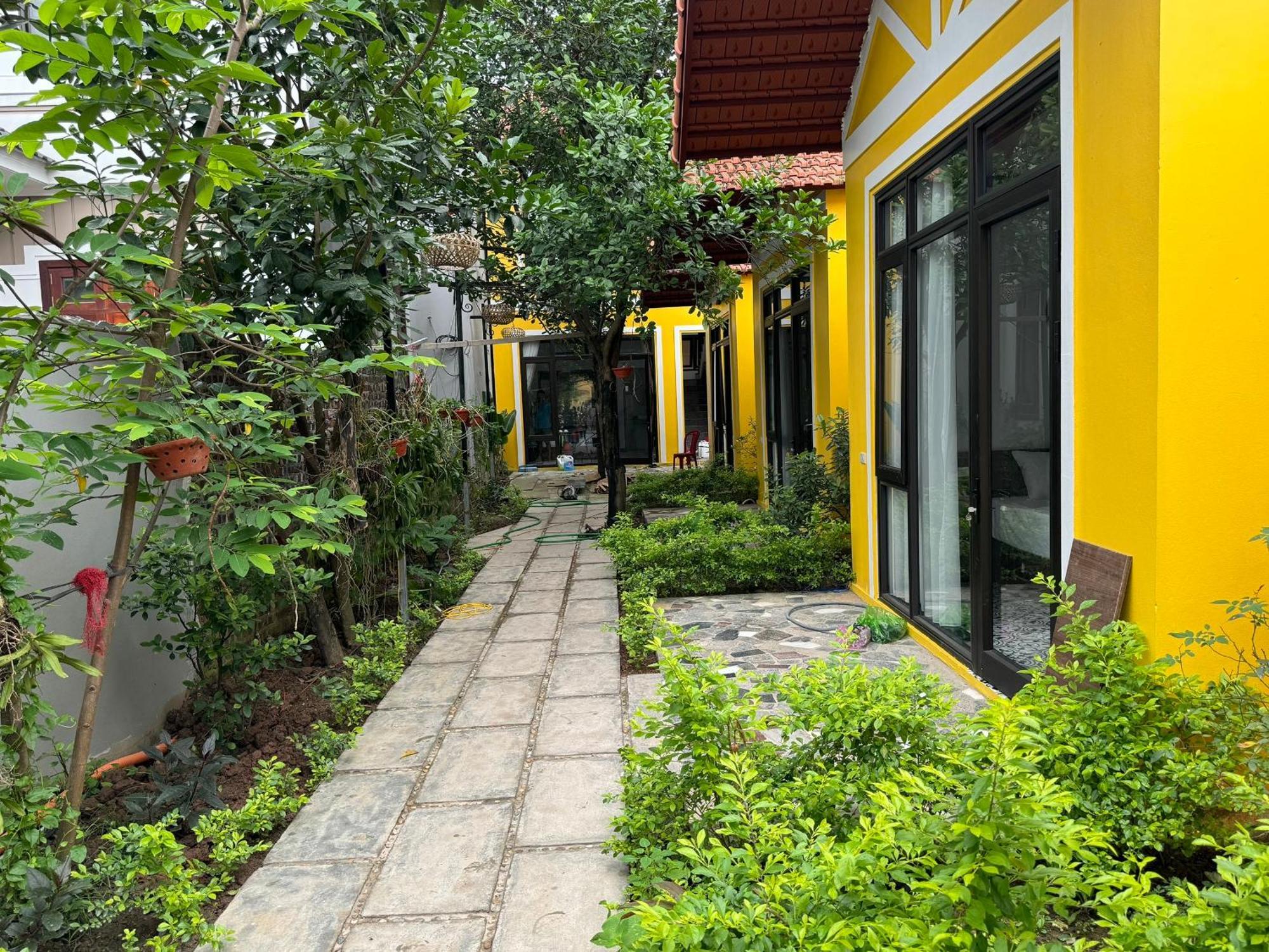 Azalea Tam Coc Ninh Binh Pensionat Eksteriør billede