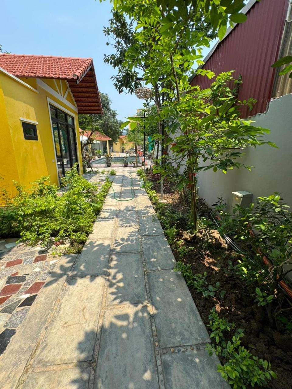 Azalea Tam Coc Ninh Binh Pensionat Eksteriør billede